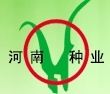 2013河南省夏季種子信息交流暨產(chǎn)品展覽會